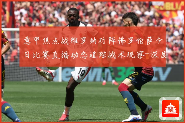 意甲焦点战维罗纳对阵佛罗伦萨今日比赛直播动态追踪战术观察-深度解析