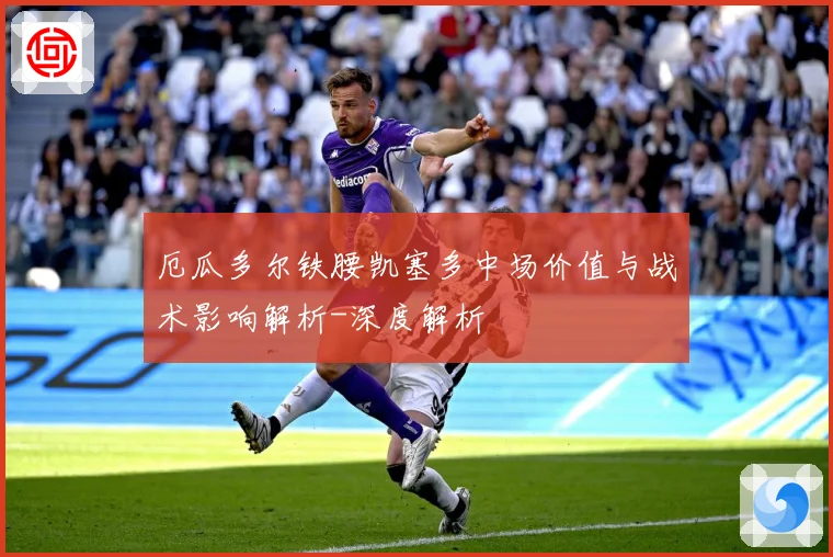 厄瓜多尔铁腰凯塞多中场价值与战术影响解析-深度解析