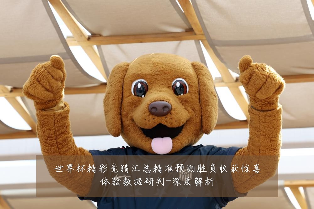 世界杯精彩竞猜汇总精准预测胜负收获惊喜体验数据研判-深度解析