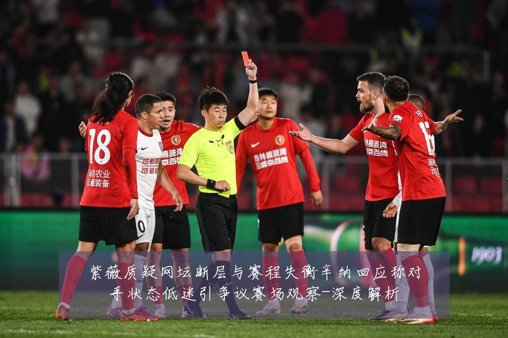 紫薇质疑网坛断层与赛程失衡辛纳回应称对手状态低迷引争议赛场观察-深度解析